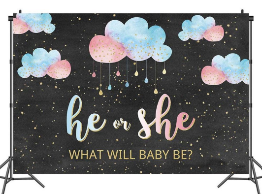 What Will Baby Be 5x7 Backdrop